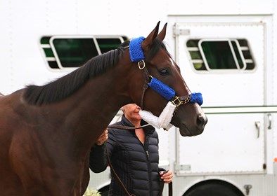 Unbeaten Songbird arrives Sept. 19 at Parx Racing for Sept. 24 Cotillion (gr. I) Unbeaten Songbird arrives Sept. 19 at Parx Racing for Sept. 24 Cotillion (gr. I)