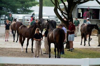Buyers at the Keeneland September Sale Buyers at the Keeneland September Sale