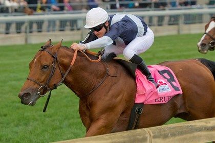 Erupt wins the Pattison Canadian International Erupt wins the Pattison Canadian International