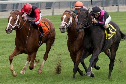 Jockey Luis Contreras guides Calgary Cat to victory (red and black silks) in the $300,000 dollar Nearctic Stakes at Woodbine Jockey Luis Contreras guides Calgary Cat to victory (red and black silks) in the $300,000 dollar Nearctic Stakes at Woodbine