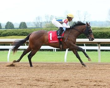 Lady Aurelia in her debut victory at Keeneland in April 2016 Lady Aurelia in her debut victory at Keeneland in April 2016