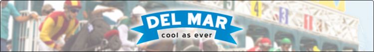 Main Logo