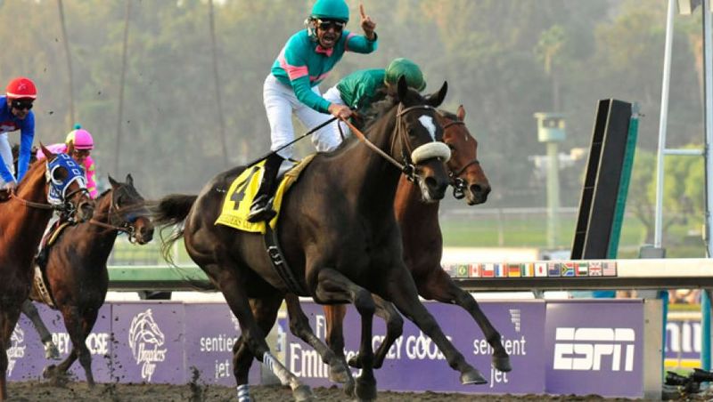 Zenyatta after her victory in the 2009 Breeders’ Cup Ladies Classic.