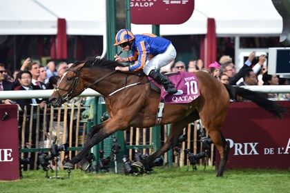 Found wins the 2016 Qatar Prix de l'Arc de Triomphe Found wins the 2016 Qatar Prix de l'Arc de Triomphe