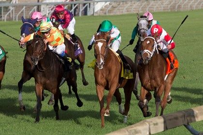 Al's Gal (inside) wins the E. P. Taylor Stakes Al's Gal (inside) wins the E. P. Taylor Stakes