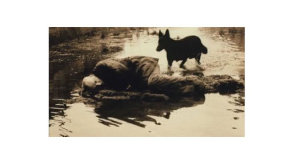 Stalker di Andrej Tarkovskij (1979) 
