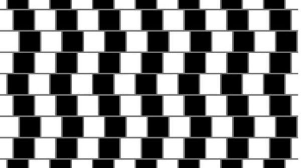 Sono parallele? Sono parallele?