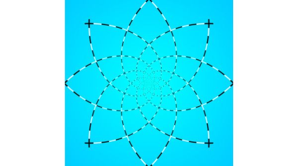 Qualcosa viaggia sulle linee del fiore Qualcosa viaggia sulle linee del fiore