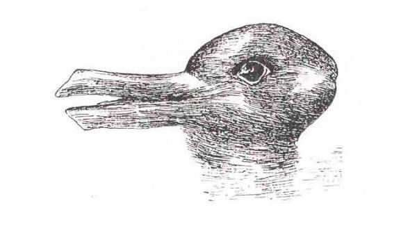 Anatra o coniglio? Anatra o coniglio?