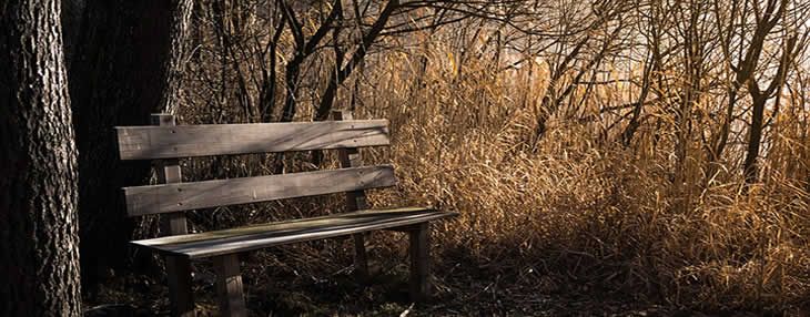 Featured Photo