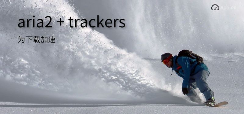 为 aria2 下载加速,添加这些 trackers 之后, BT、磁力链接下载加速大增 1