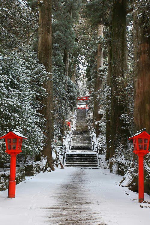 Featured Photo