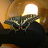 Featured Photo