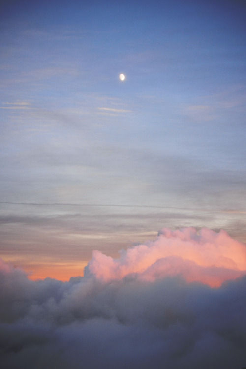 Featured Photo