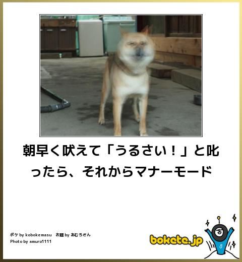 Featured Photo
