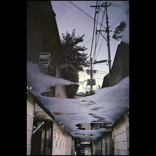 Featured Photo