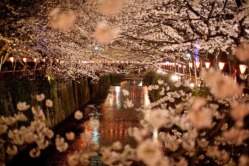 Featured Photo