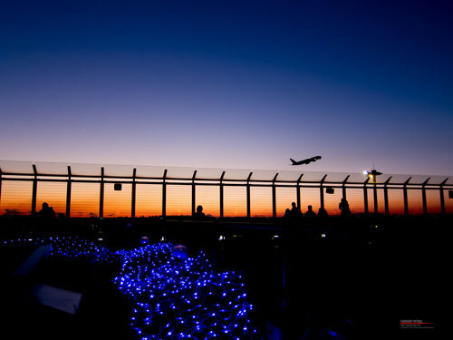 Featured Photo