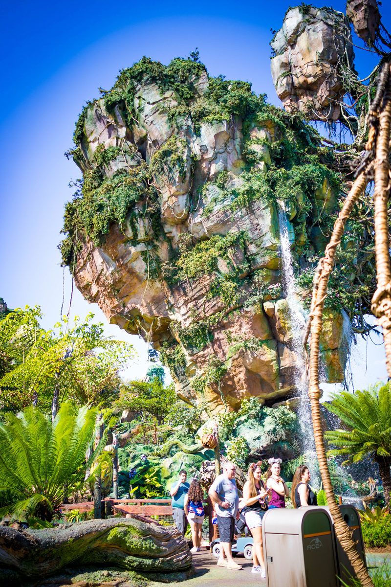 Pandora at Disney's Animal Kingdom - Disney World For Adults by popular DC travel blogger Alicia Tenise