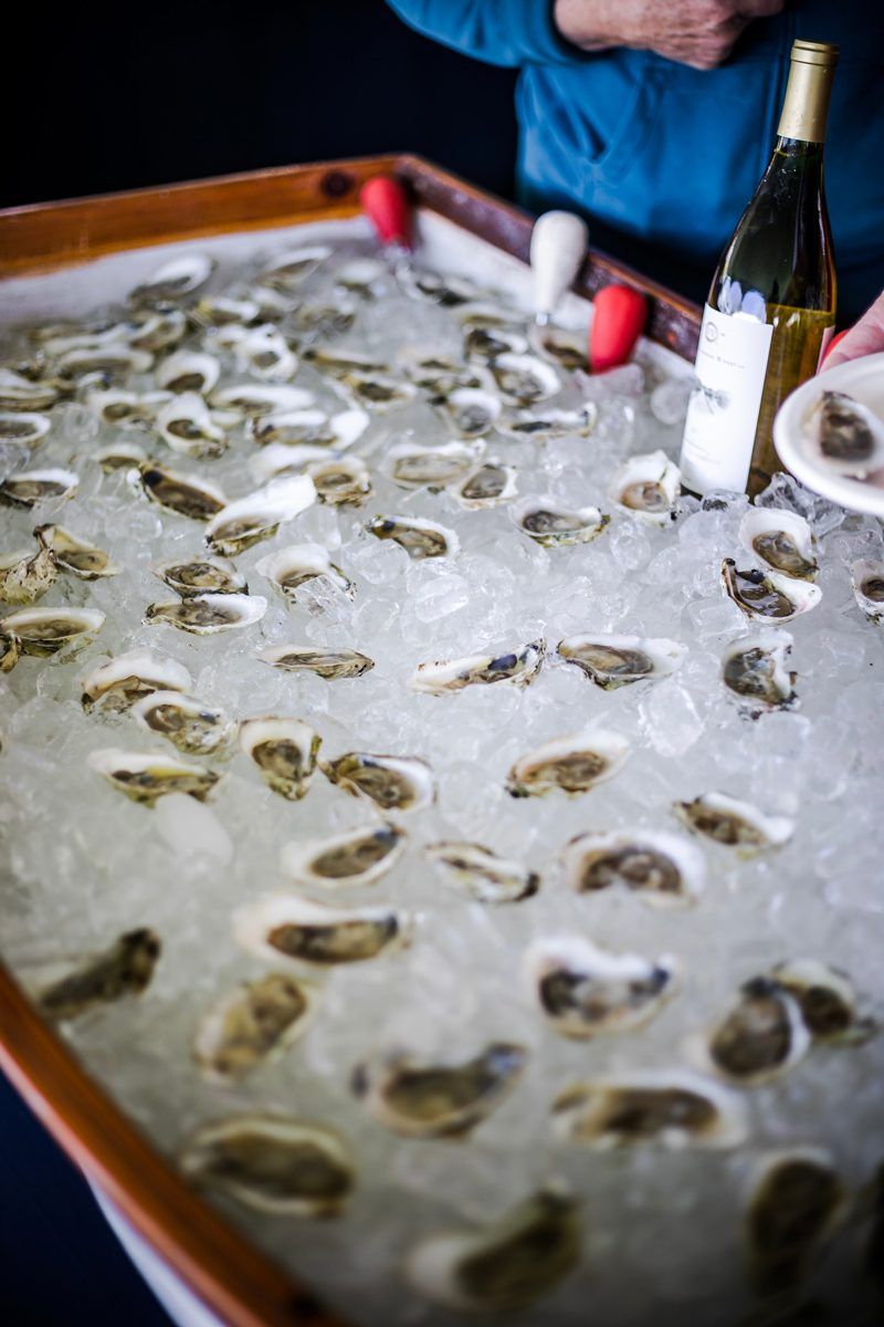 Oysters from Big Island Aquaculture at Williamsburg Taste Festival - Fun at the Williamsburg Taste Festival featured by popular DC travel blogger, Alicia Tenise