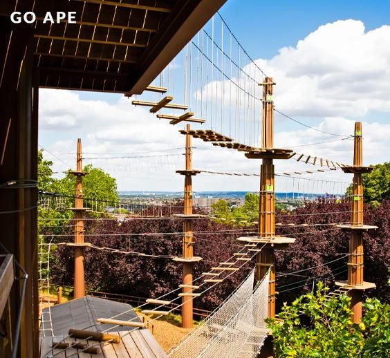 Go Ape, Ally Pally