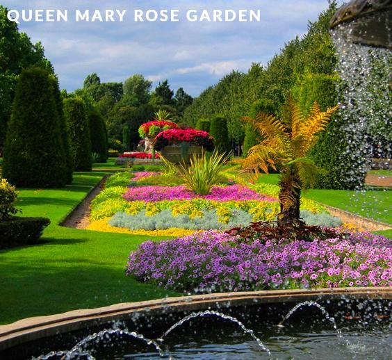 Queen Mary Rose Garden, Regents Park