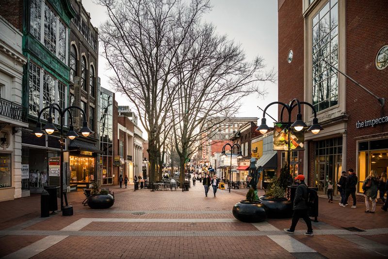 Top Things to Do in Charlottesville VA: a Complete Travel Guide by popular DC travel blogger, Alicia Tenise | Things to Do in Charlottesville VA in the Winter by popular DC travel blogger, Alicia Tenise: image of Charlottesville Va.