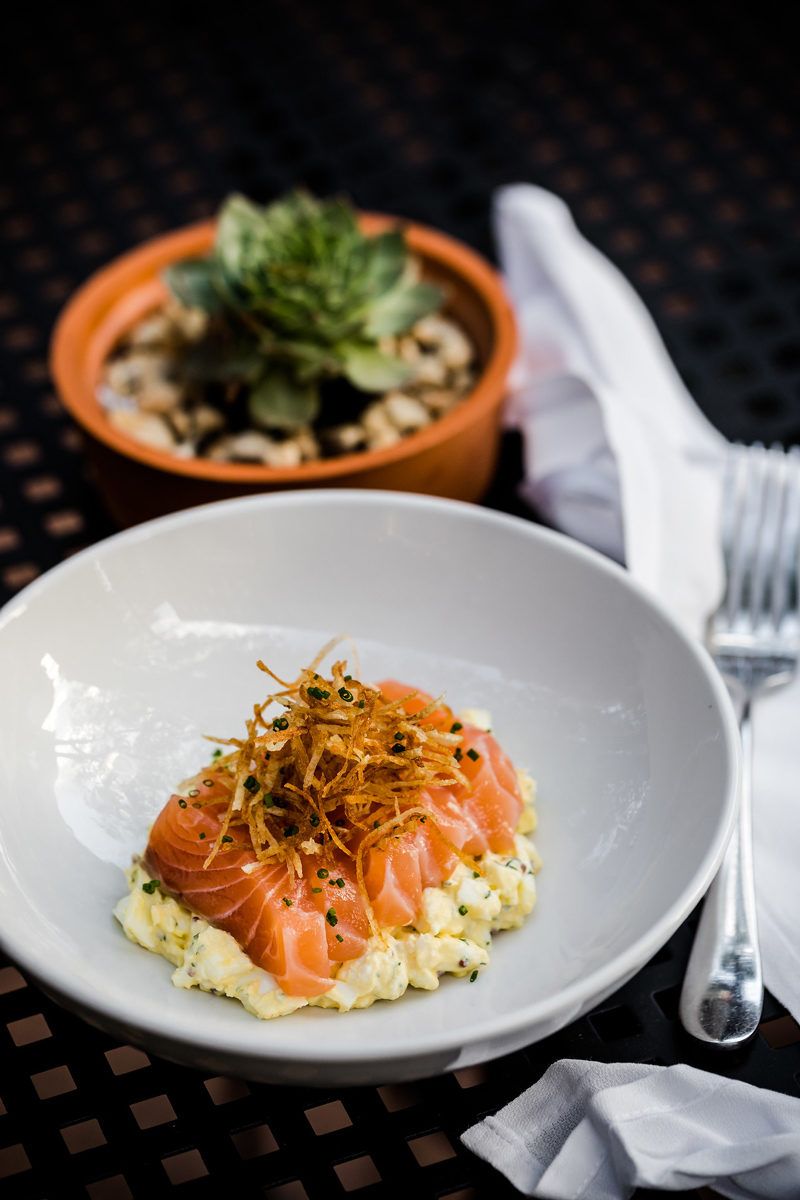 Top Things to Do in Charlottesville VA: a Complete Travel Guide by popular DC travel blogger, Alicia Tenise | Things to Do in Charlottesville VA in the Winter by popular DC travel blogger, Alicia Tenise: image of a plate of salmon.