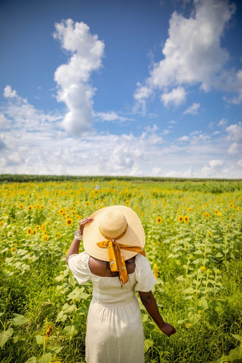 Hat Attach Coco Sunhat, Burnside Farms Virginia, Sunflower Fields Near D.C. | Being 30 by popular D.C. lifestyle blogger, Alicia Tenise: image of Alicia Tenise standing in a sunflower field and wearing a Hat Attack Coco Sunhat and Abercrombie and Fitch Puff-Sleeve Linen-Blend Mini Dress.