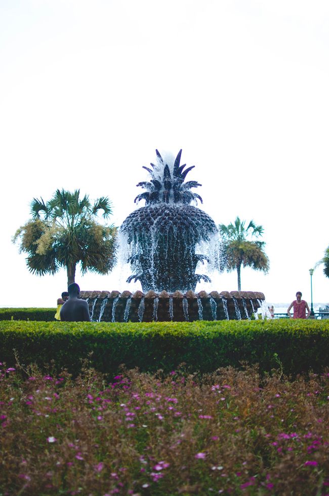 charleston, what to do in charleston, travel blog, dc blogger, pineapple fountain