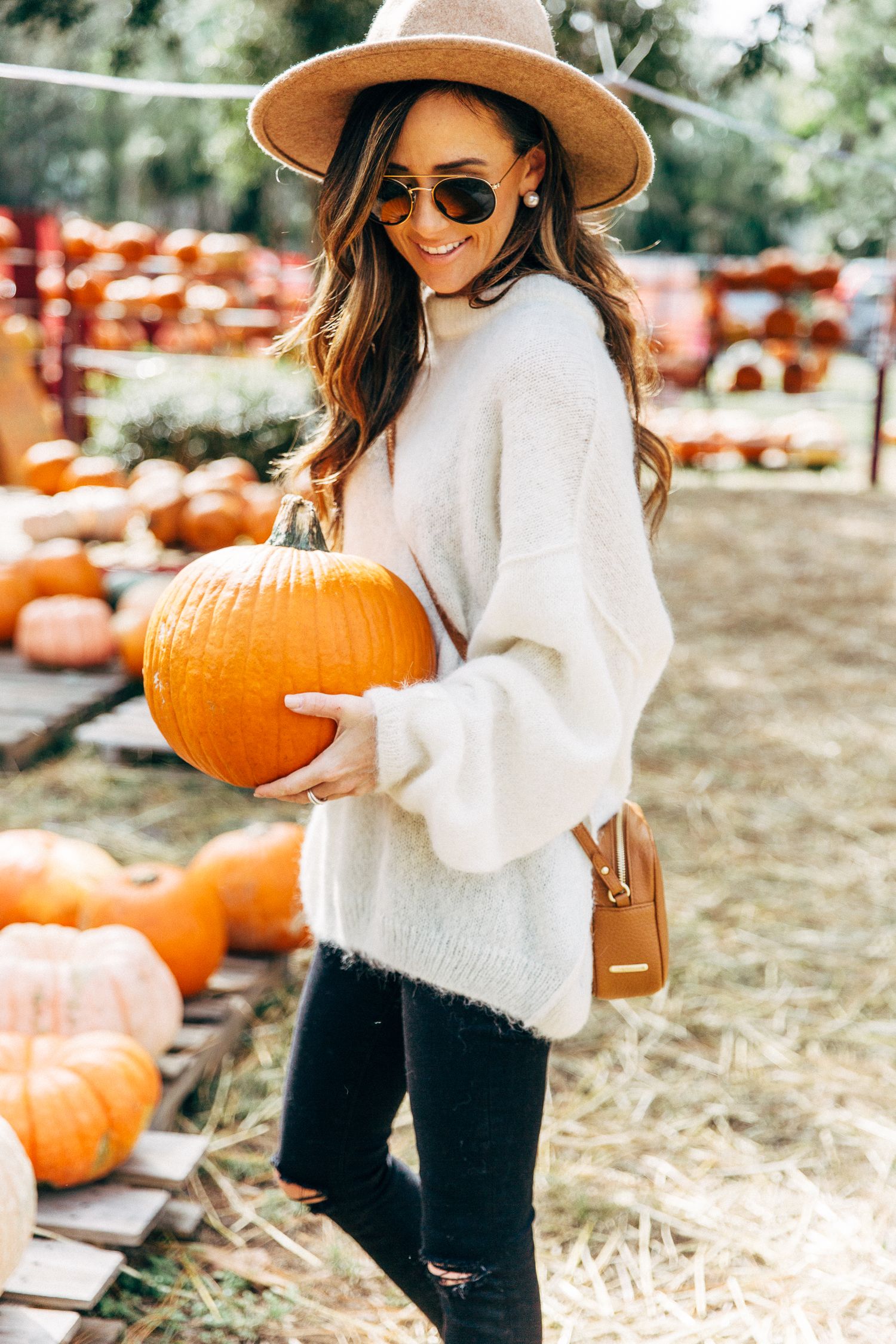 things to do during the fall, pumpkin patch