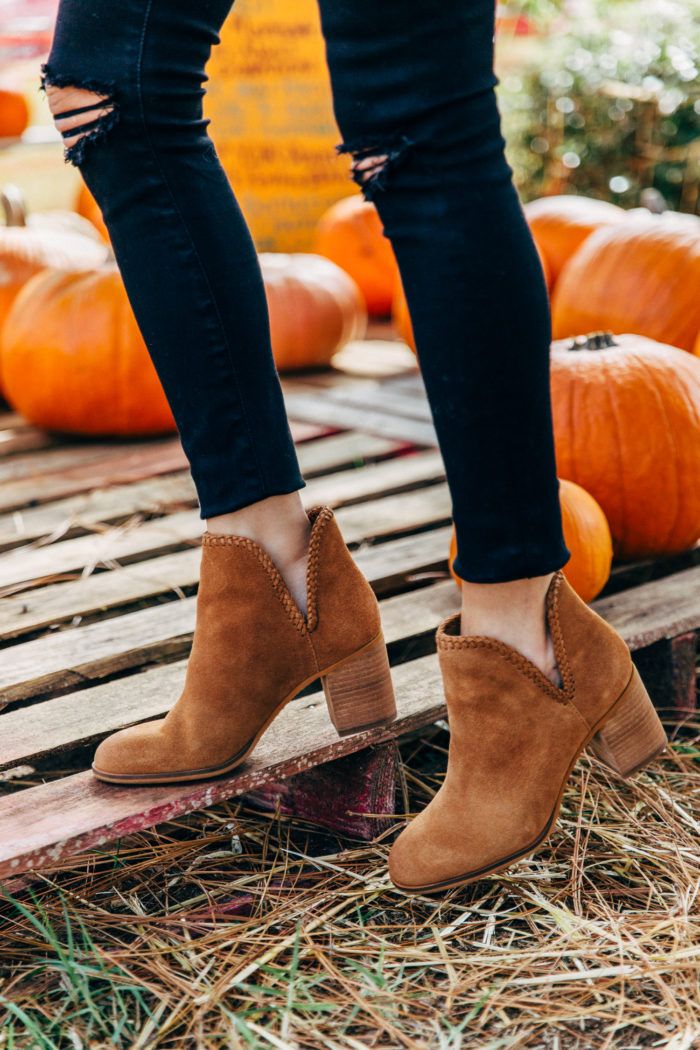 things to do during the fall, pumpkin patch