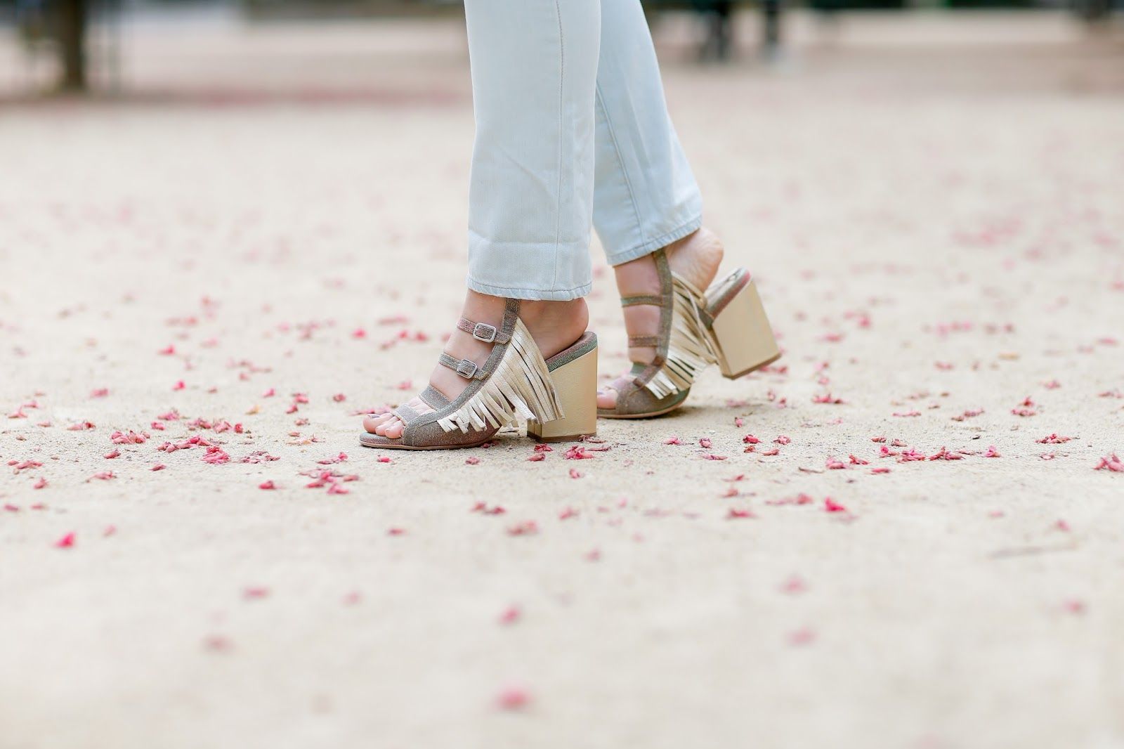 meet me in paree, blogger, fashion, style, look, meetmeinparee, ootd, cookbook, parisian style