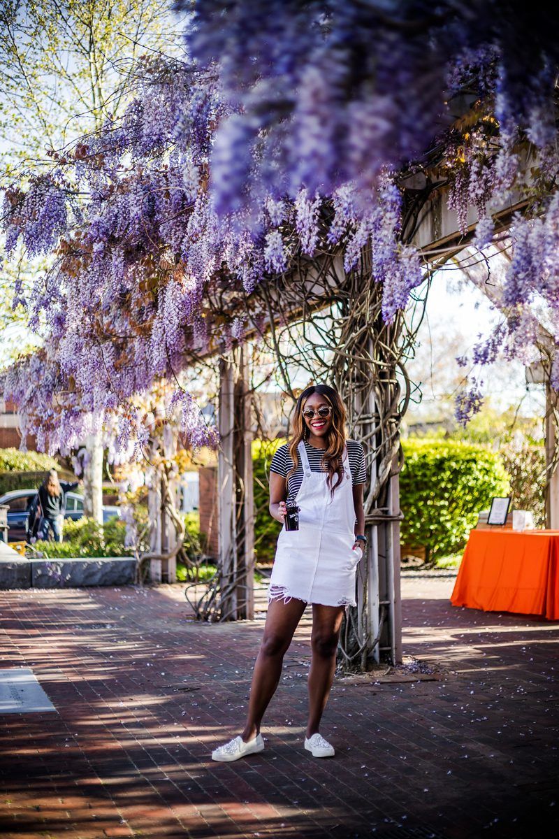 True Life: I Botched My First Major Blog Advertising Campaign by popular DC Blogger, Alicia Tenise