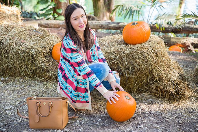 thefashionistasdiary+miami_blogger+pumpkins+halloween