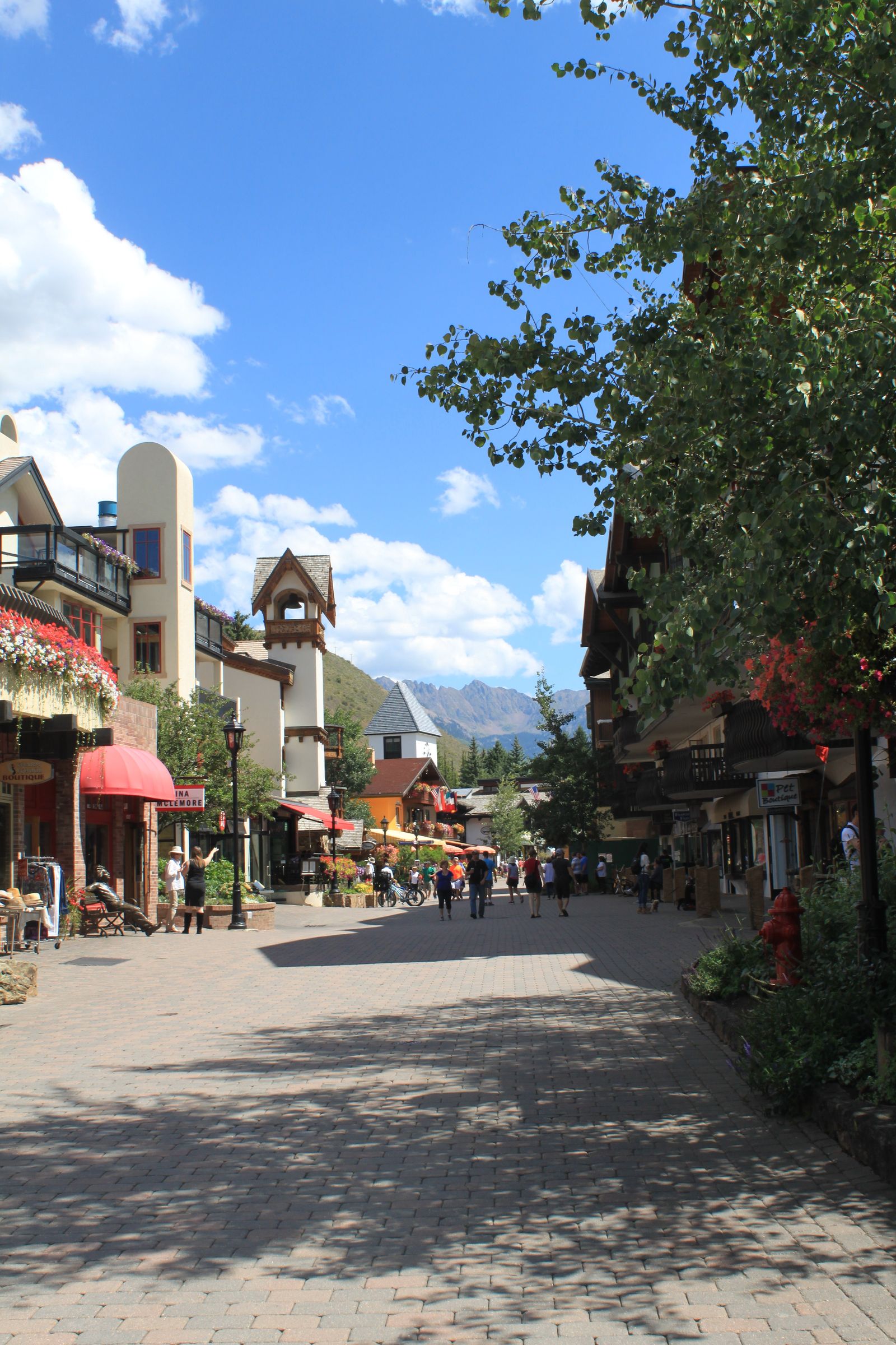 Vail Valley I wit & whimsy