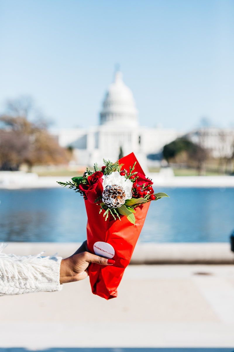 The National Mall Best Views - Spreading Cheer This Holiday Season by Washington DC blogger Alicia Tenise