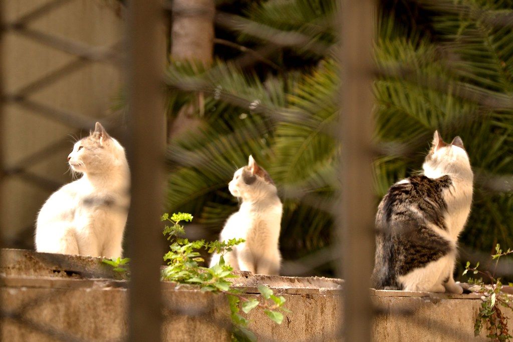 DSC_1457New