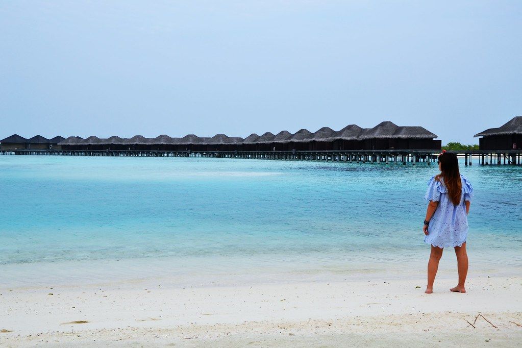DSC_0194 (4)