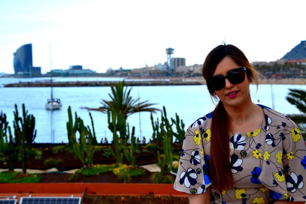 DSC_0334New