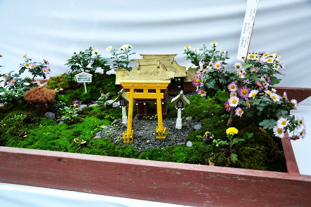 DSC_0145 (2)