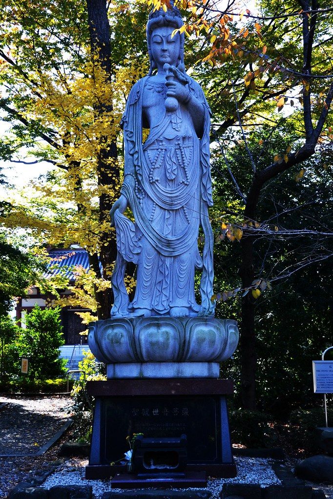 DSC_0062 (2)