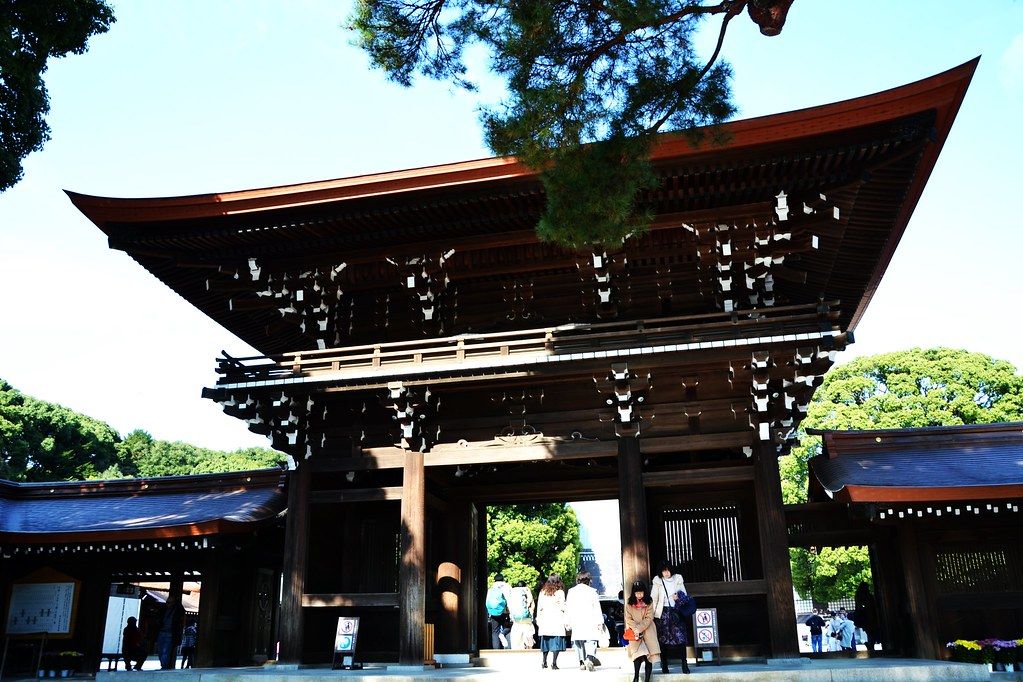DSC_0155 (2)