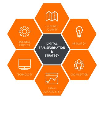 dx-model-website