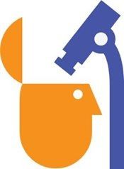 consumer insights als start voor conceptontwikkeling