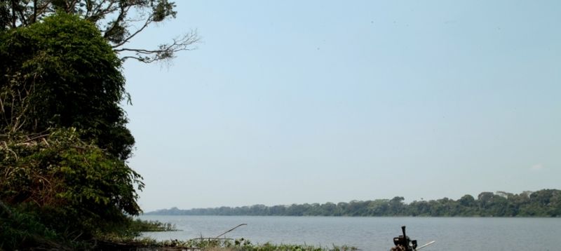 amazônia,Bolsonaro,Projeto