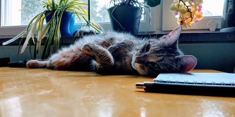 resting cute Esther.jpg