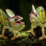 Обязательно ли общение должно приносить удовольствие и как это влияет на избавление от страха отказа?