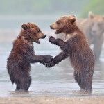 После упражнений на избавление от страха отказа общение может углубиться