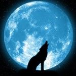 Помочь или сказать